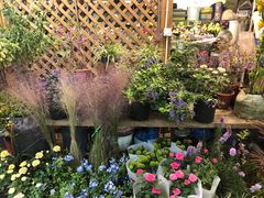 -双季花艺园艺市场(浦东店)
