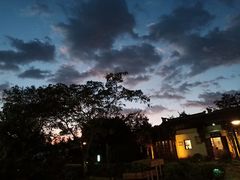 -田园东方蜜桃村的田野营地