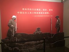 -北京大学赛克勒考古与艺术博物馆