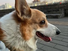 -METAL HANDS(五道营店)