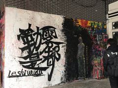 -黄桷坪涂鸦艺术街