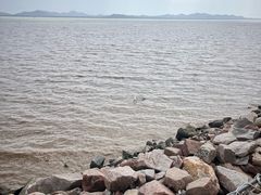 -崖口红树林海鲜餐厅