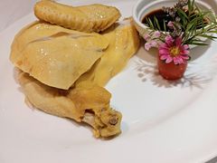 白切竹林鸡-丰收日(五角场店)
