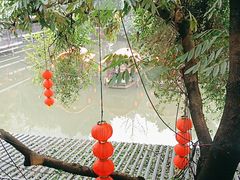 -侨美·唐荔园·40年地道粤菜