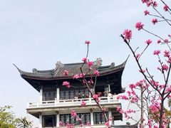 -无锡蠡湖国家湿地公园-蠡园