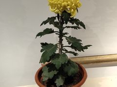 -汇龙潭