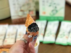 -美罗城