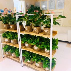 -圣嘉新医疗美容医院