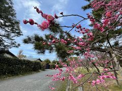 -京都御所