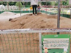 -前小桔亲子创意农场·草莓采摘·露营烧烤