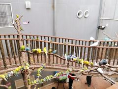 -正佳雨林生态植物园