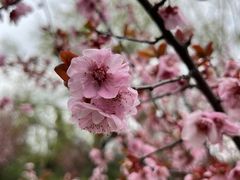 -上海滨江森林公园