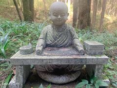 -武陵山森林公园