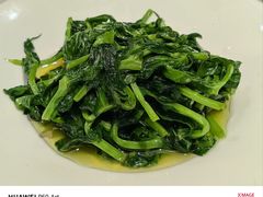 -席家花园(巨鹿花园店)