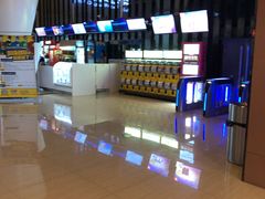 -幸福蓝海国际影城(河西店)