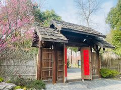 -东平国家森林公园