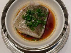 葱油蒸野生黄鱼-福1015(愚园路店)