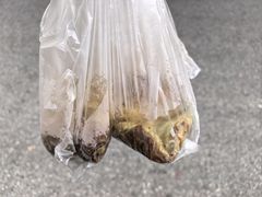 -缘顺缘兴玉米饼(吉杨路店)