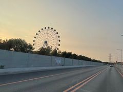 -大湾区中央湿地公园