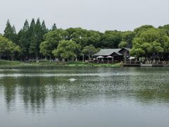 -新洲生态园