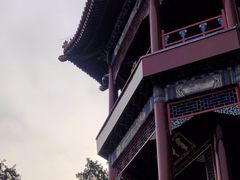 -颐和园
