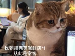 -咖法森林·咖啡  酒吧(天河店)