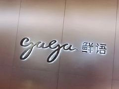 -gaga(深圳南山益田假日广场店)