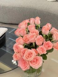 -美肤盾祛痘·问题肌头疗管理中心