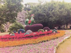 -金鸡山公园