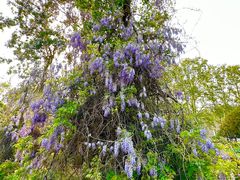 -河南省黄河迎宾馆