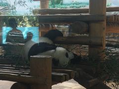 -西霞口神雕山野生动物世界