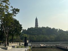 -顺峰山公园