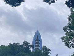 -刘伯温故里景区百丈漈