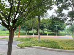 -眉山湿地公园(东坡区)