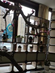 -江油茗汇整形医院