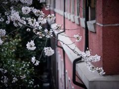 -浙江省杭州高级中学(贡院校区)