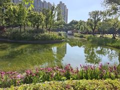 -中山公园
