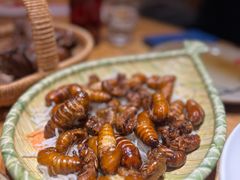 -鸽子窝(宋庄店)