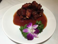 -雪园上海饭店(港湾1号店)
