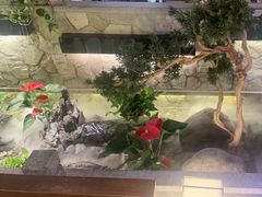 -首秀·四川料理(星耀101店)