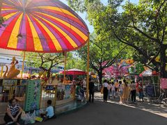 -顺德大良半月城游乐场