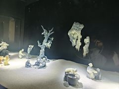 -深圳珠宝博物馆