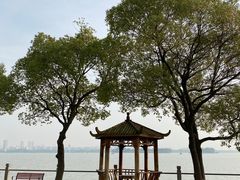 -无锡蠡湖国家湿地公园-蠡园