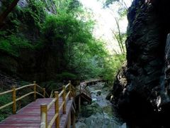 -牛背梁国家森林公园