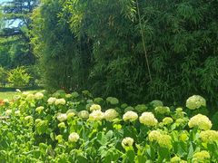 -月坛公园