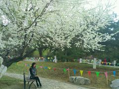 -万柳阁小馆·花园餐厅(龙潭湖店)