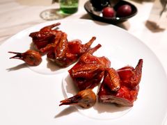 脆皮妙龄鸽-新荣记(新源南路店)