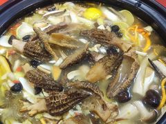 -菌之家·专业纯野生菌火锅·特色炒菌