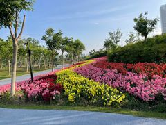 -春花秋色城市公园