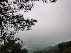 -缙云山景区